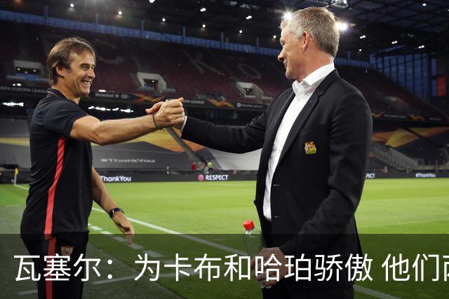 瓦塞尔：为卡布和哈珀骄傲 他们两个都有着不可限量的未来